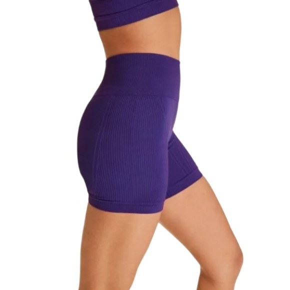 ALALA Seamless Barre Shorts NWT Purple - Picture 2 of 14